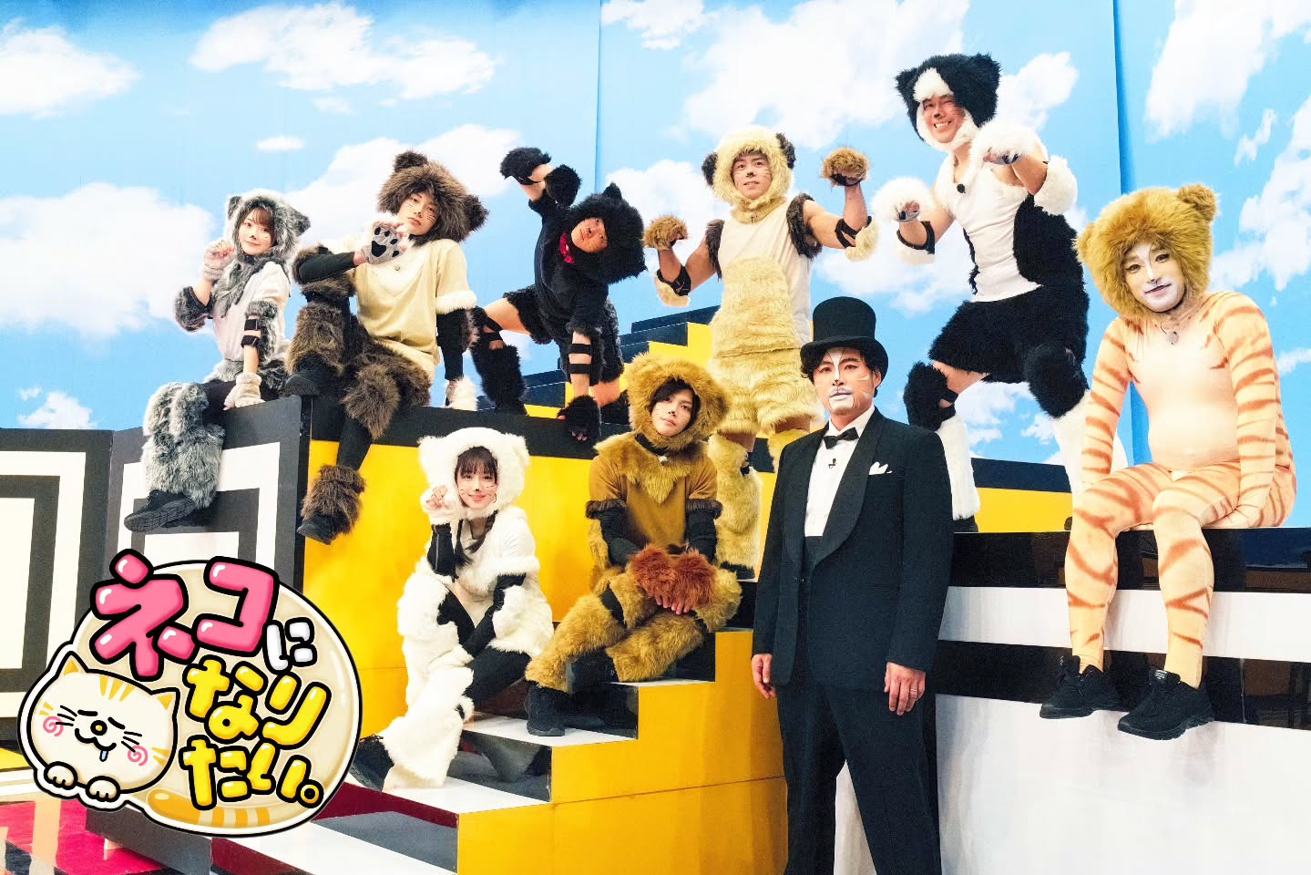 中京テレビ「ネコになりたい。」