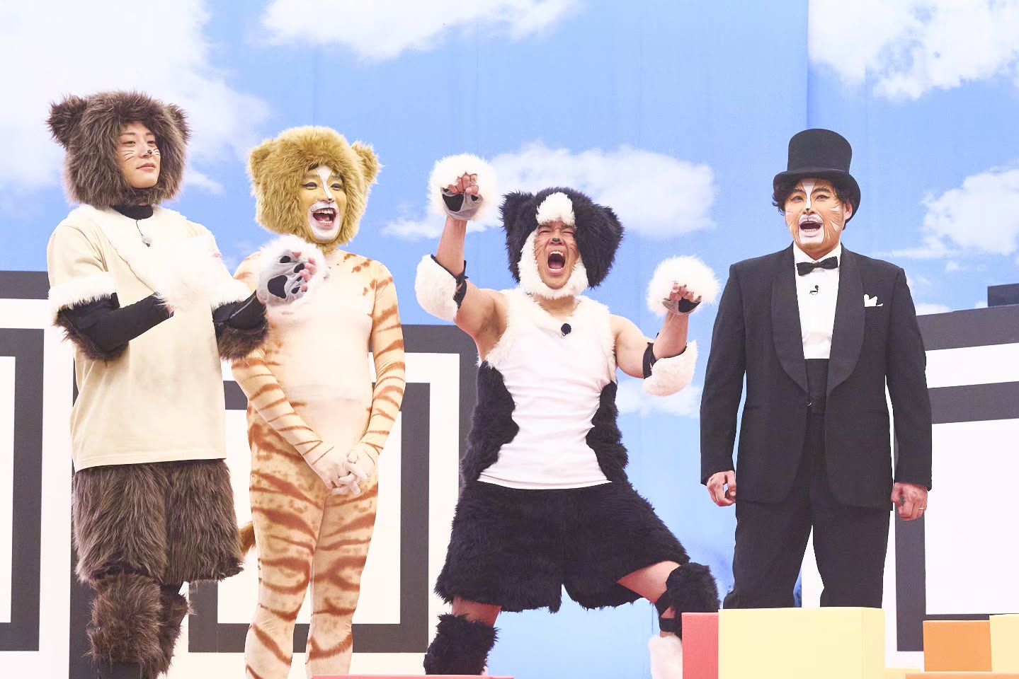 中京テレビ「ネコになりたい。」 — 8